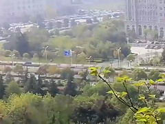 Daddy two Chinese in forest