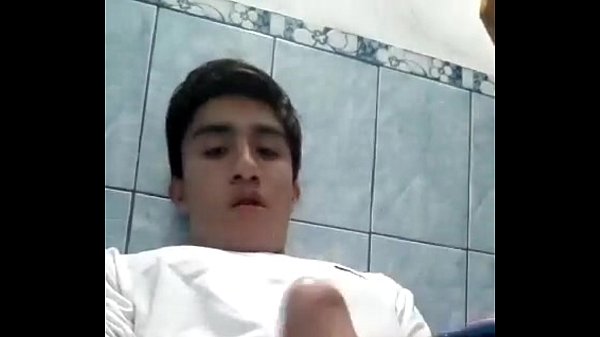 chibolo pajero chorrillos 2 xd