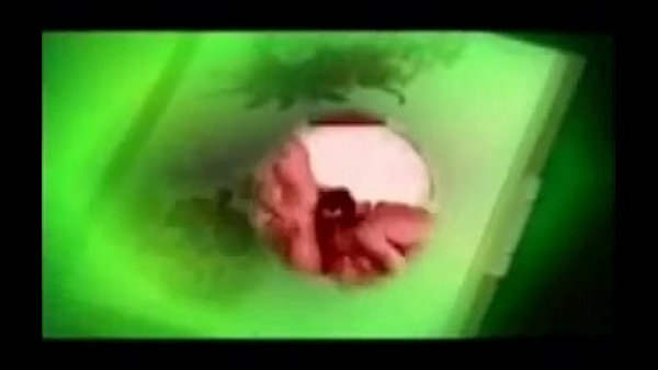 Virgin Tails. (3). – www.thegay.webcam