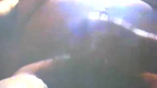 Strong japanese bear fun